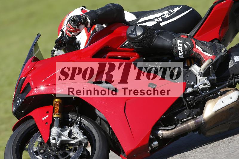 /Archiv-2024/58 13.08.2024 Paddys Races Days-Brenner25 ADR/Sport-Profi/89